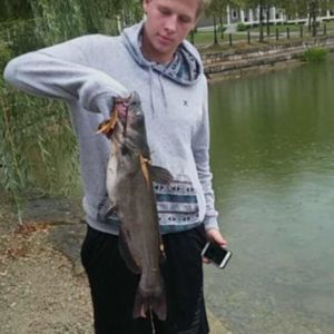 Meet your Posher, Timmy